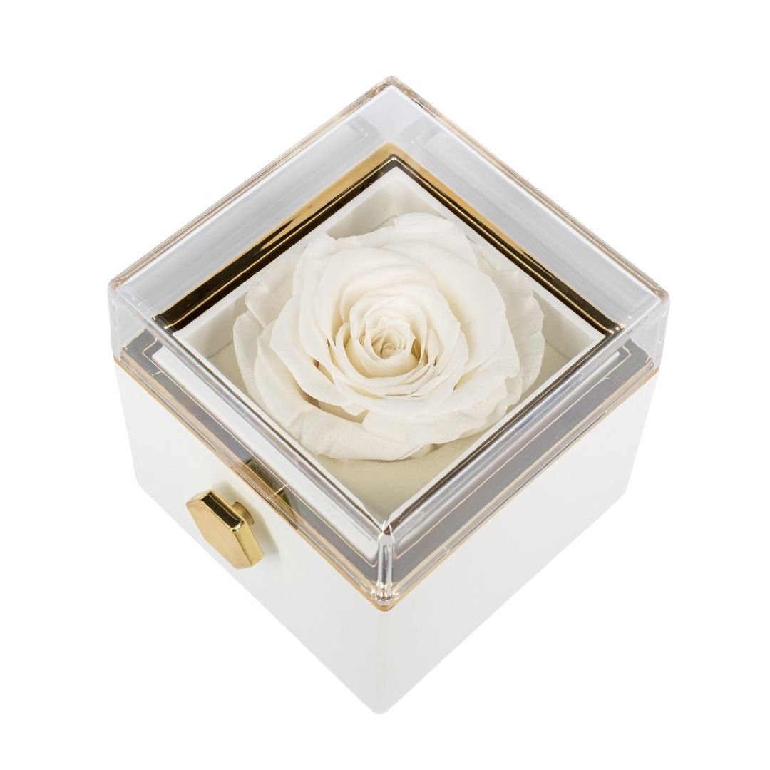 ROTATING ETERNITY ROSE BOX - W/ ENGRAVED NECKLACE