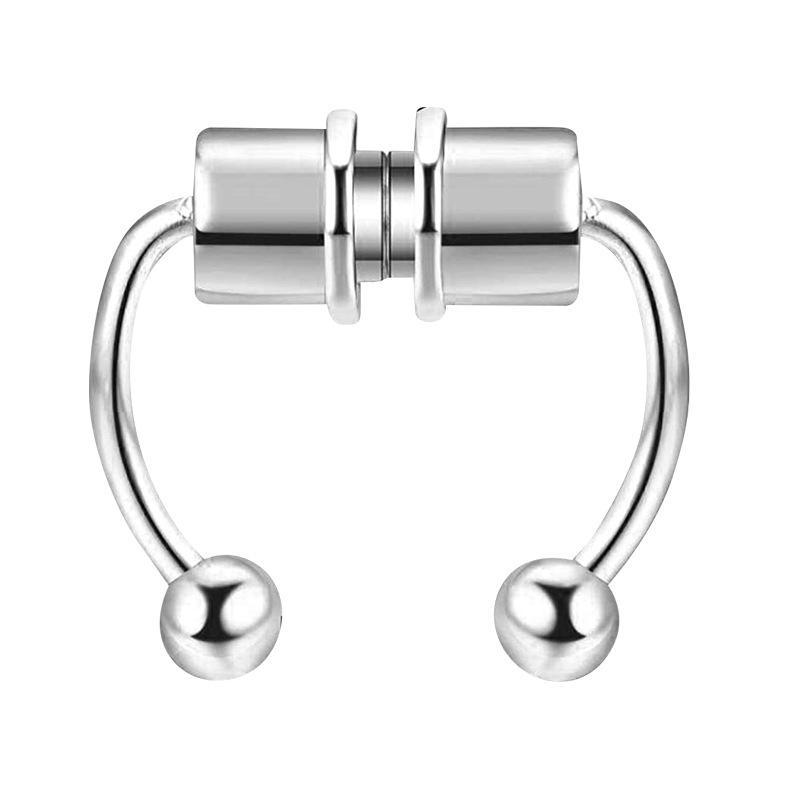 Magnetic Septum Ring