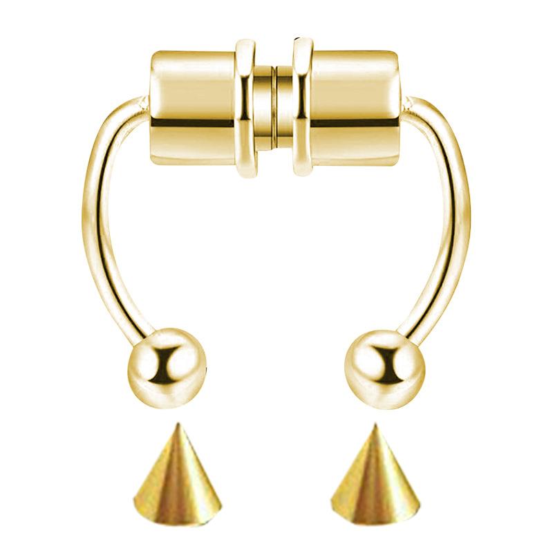 Magnetic Septum Ring