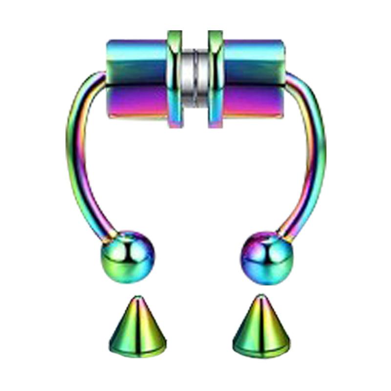 Magnetic Septum Ring