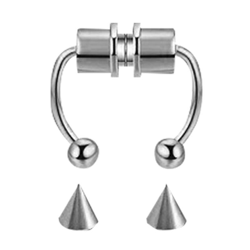 Magnetic Septum Ring