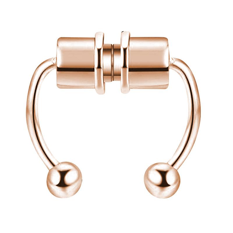 Magnetic Septum Ring