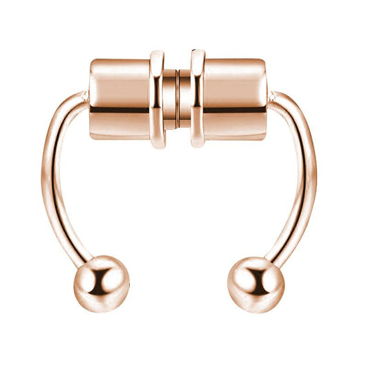 Magnetic Septum Ring