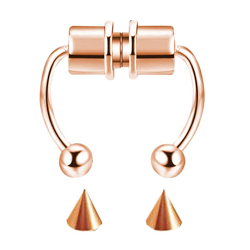 Magnetic Septum Ring