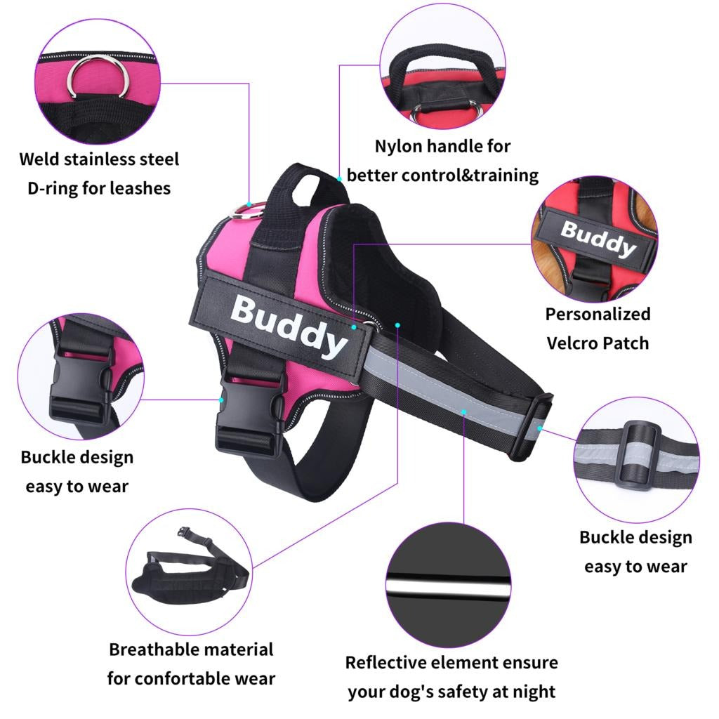 Personalized No Pull Doggy Harness