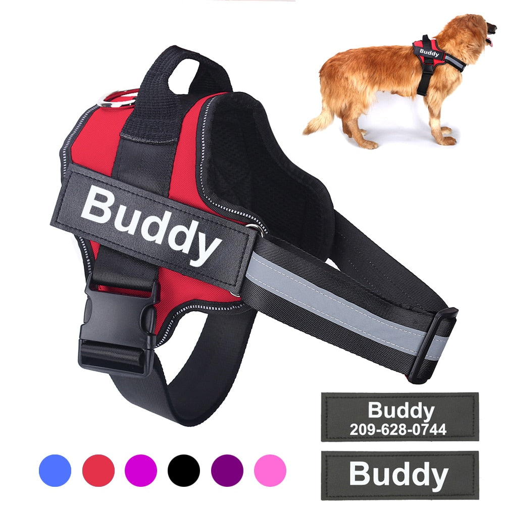 Personalized No Pull Doggy Harness