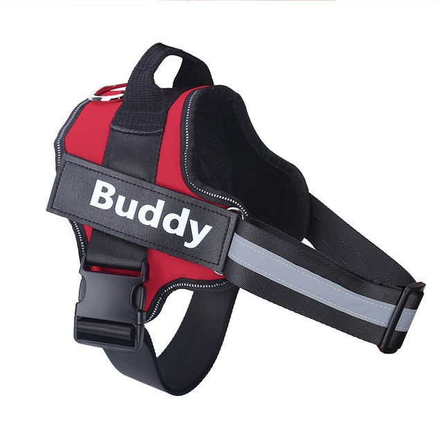 Personalized No Pull Doggy Harness